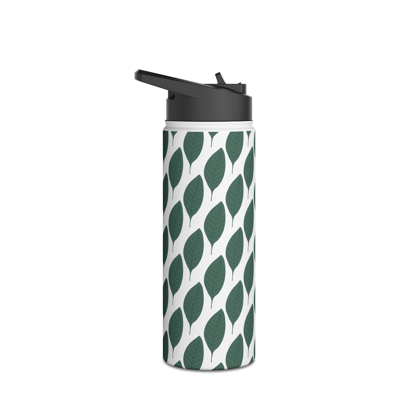 Stainless Steel Water Bottle, Standard Lid