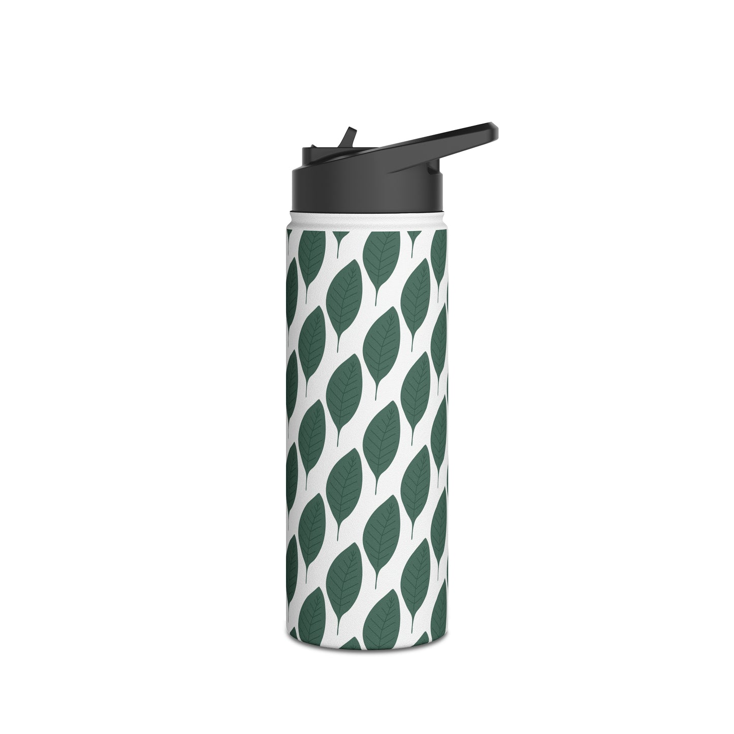 Stainless Steel Water Bottle, Standard Lid